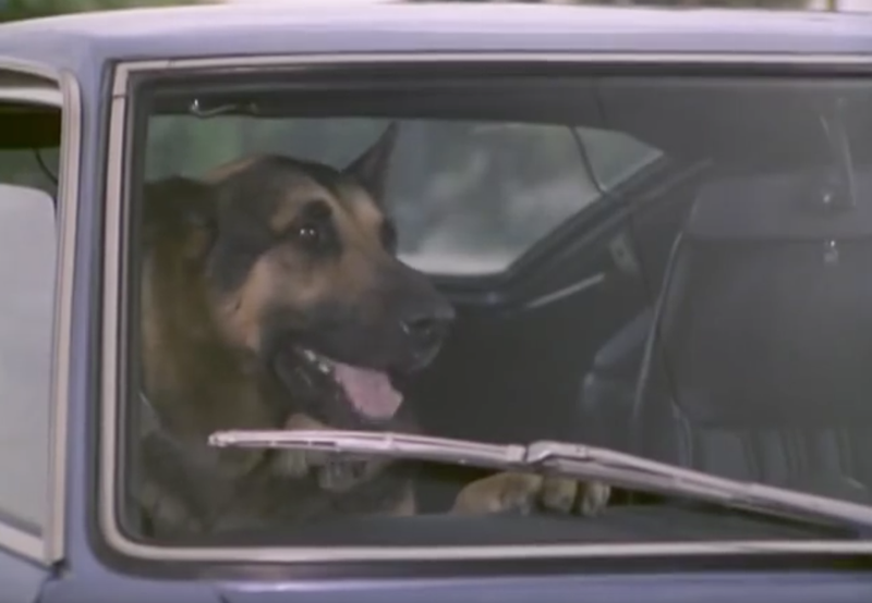 Illustration for article titled Time To Watch That Clip Of A Bionic Dog Grabbing A Volkswagen By The Bumper